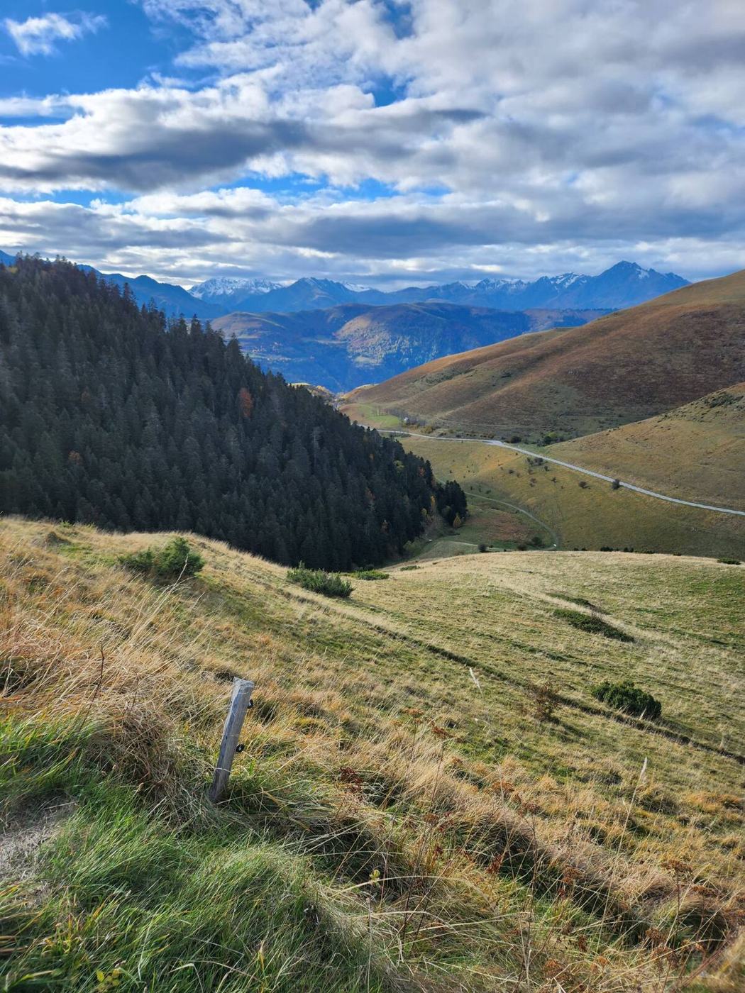 Prairies d'altitude l'été